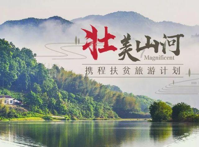 绿植叶子发黄如何解决游戏画面