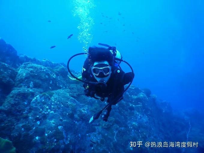 奥斯曼帝国的社会文化,“立法者”(4)-奥斯曼简史99